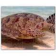 thumbnail image 1 of Picture-Tiles.com: Turtle Ceramic Tile Wall Mural WAL501054-54S. 21.25"W x 17"H using (20) 4.25" x 4.25" Ceramic Tiles-Satin Finish, 1 of 3