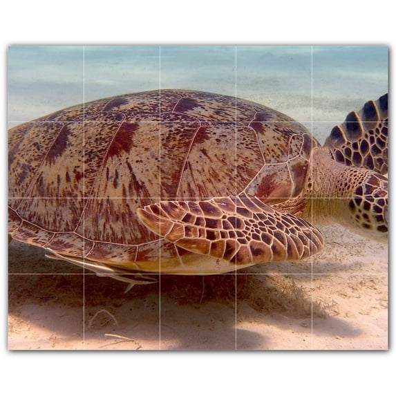 Picture-Tiles.com: Turtle Ceramic Tile Wall Mural WAL501054-54S. 21.25"W x 17"H using (20) 4.25" x 4.25" Ceramic Tiles-Satin Finish