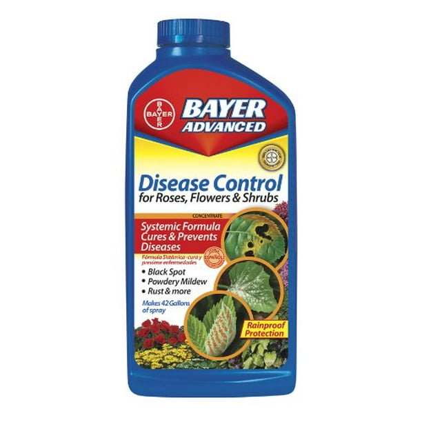 Bayer Advanced 701250 Disease Control for Rose, Flower and Shrubs