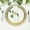 Clear and Gold, variant on BalsaCircle 6 Acrylic Round 13 in Charger Plates with Wheat Pattern Gold Rim Party Decorations Supplies