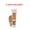 350 Natural Tan, variant on Revlon PhotoReady Candid Natural Finish Foundation 260 CHAI, 2 UNITS