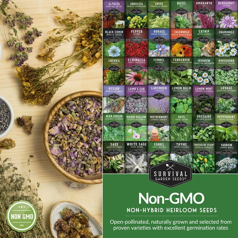 Medicinal Herb Seed Collection 36 Healing Heirloom Varieties, Perennial, SGSMedicinal36-WMT