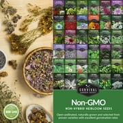 Medicinal Herb Seed Collection — 36 Healing Heirloom Varieties, Perennial
