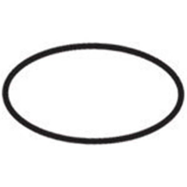 Waterway Plastics 805-0145 2 in. Heater Tailpiece Union O-Ring