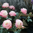 thumbnail image 4 of Farfi Fake Flower Eco-friendly Vivid Faux Silk Flower Artificial Rose Flowers Decor for Household (Orange), 4 of 13