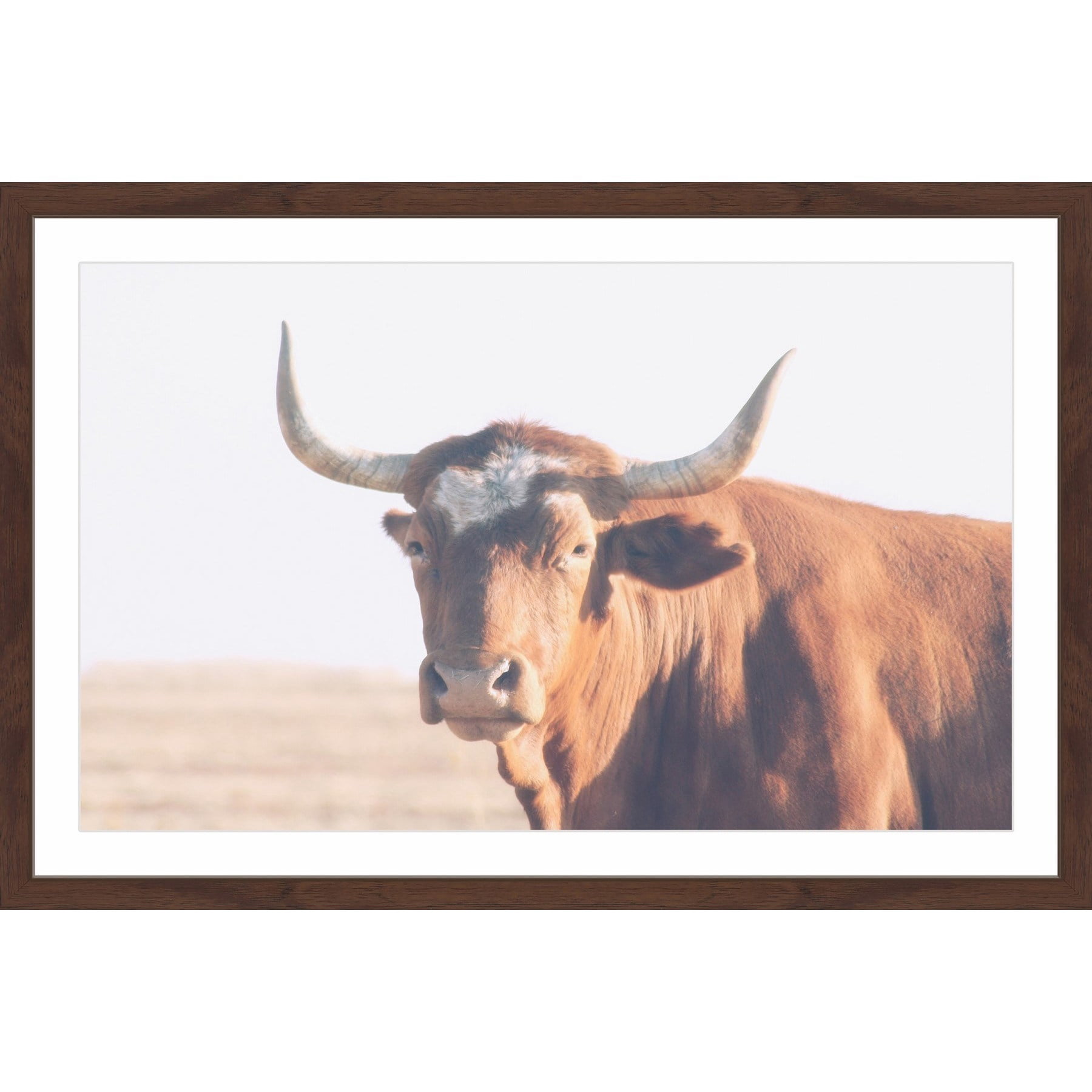 Marmont Hill "Curious Bovine" Framed Painting Print