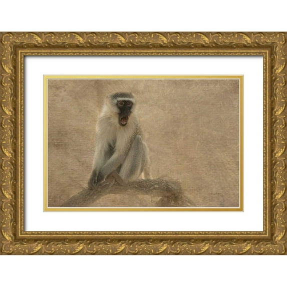Murdock, Ramona 24x17 Gold Ornate Wood Framed with Double Matting Museum Art Print Titled - Primate