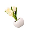 thumbnail image 3 of Lámpara de noche con forma de tulipán, luz suave, exquisita cerámica, lámpara de mesa con forma de flor de PU para librerías, cafeterías, funciona con pilas, base de cerámica blanca, 3 of 12