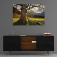 thumbnail image 3 of Epic Art 'The Star' by Martin Podt, Acrylic Glass Wall Art, 36"x24", 3 of 5