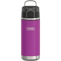 Thermos ICON Series Kid's Stainless Steel Spout Water Bottle, Plum, 18oz