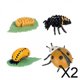 thumbnail image 1 of Juego De 2 Juguetes Cognitivos Montessori Con Ciclo De Crecimiento Animal, Accesorios Didácticos Para Niños, 1 of 8