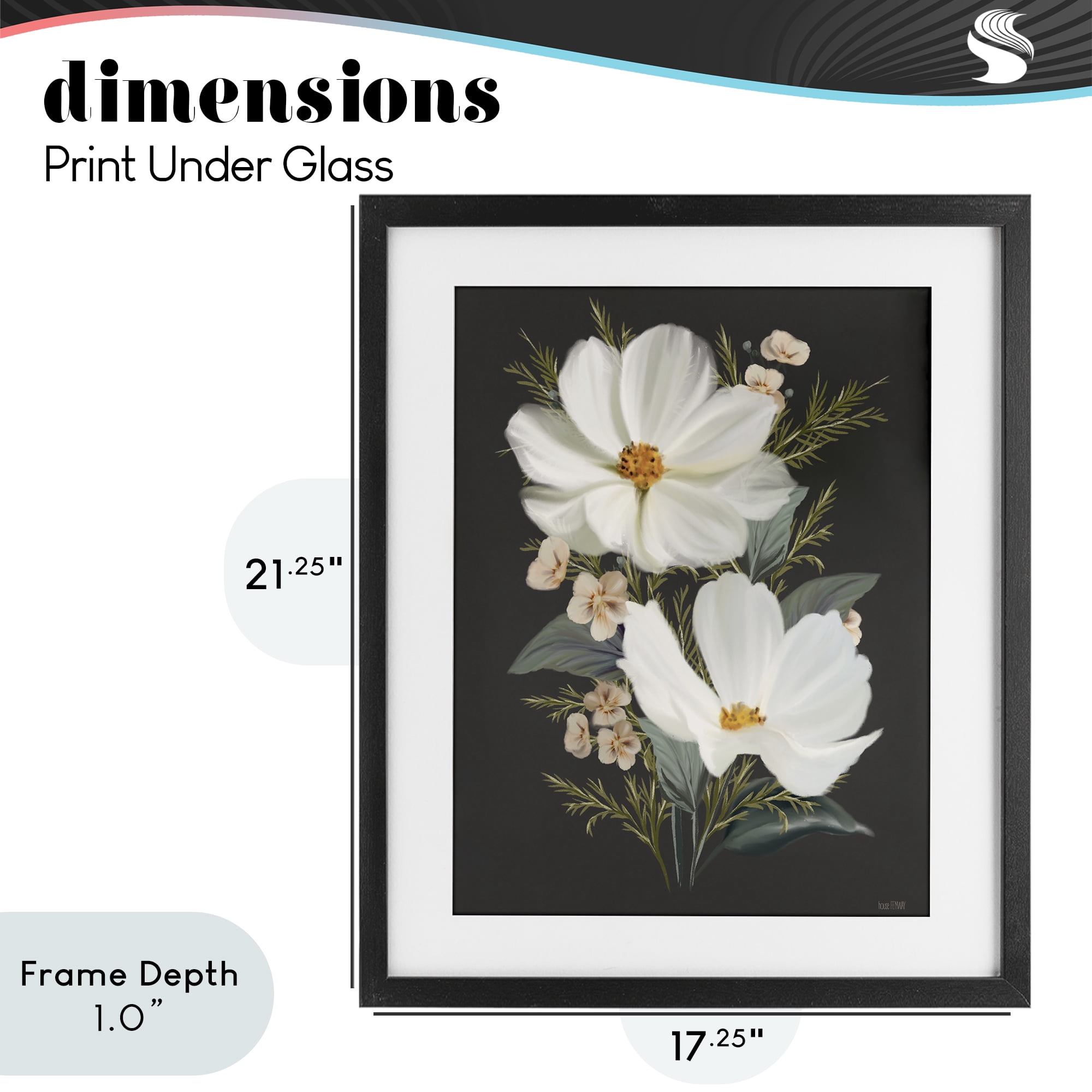 Stupell Industries Old Lace Cosmos Black Framed Print Under Glass, design by House Fenway