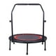 thumbnail image 3 of Trampolín de ejercicio mini de 40 pulgadas para adultos o niños Trampolín rebounder de fitness interior con almohadilla de seguridad Max. carga 300LBS, 3 of 5