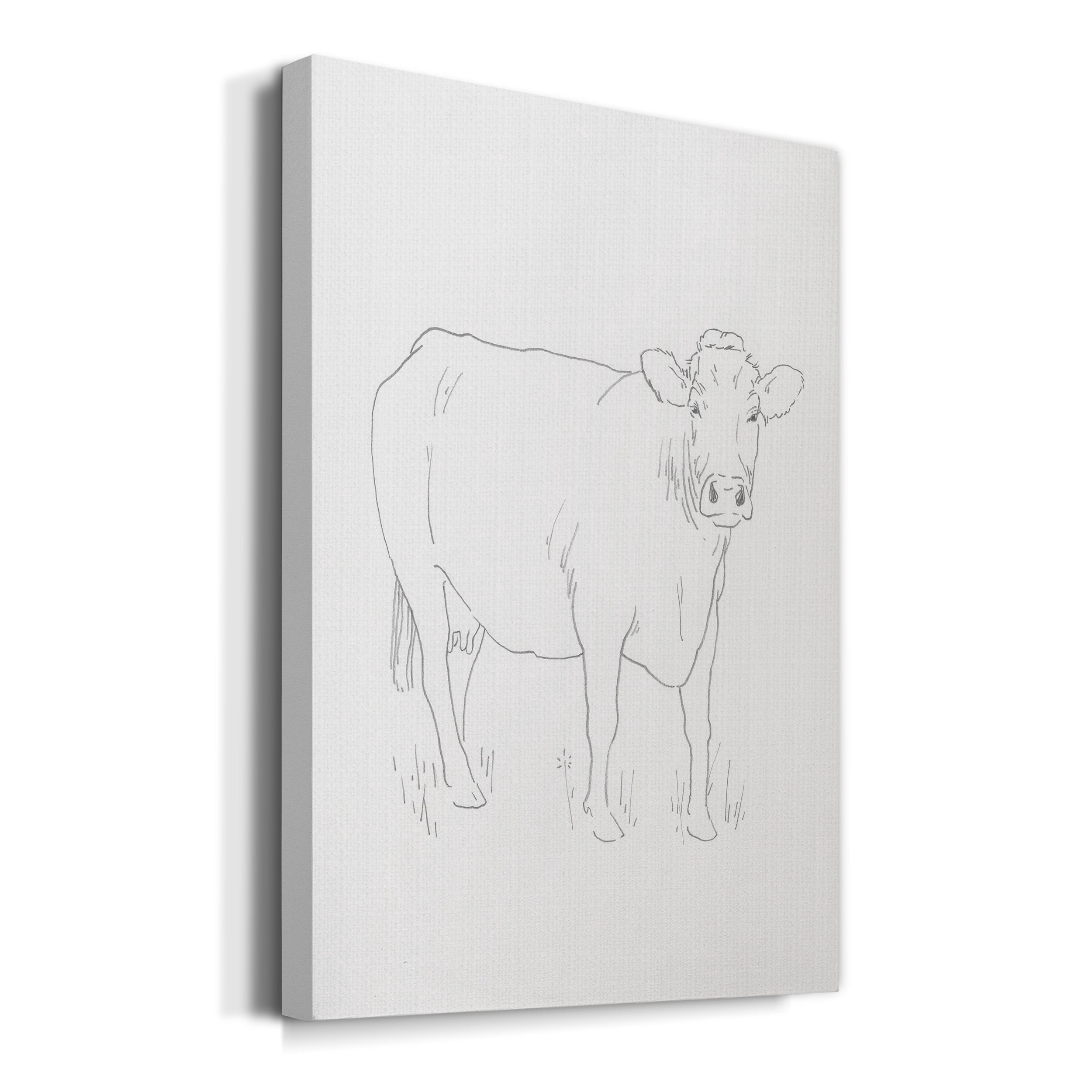 Limousin Cattle III Premium Gallery Wrapped Canvas - Ready to Hang