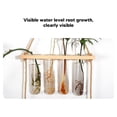 thumbnail image 3 of Plant Propagation Station Wall Hanging Terrarium With Wooden Stand Mini Test Tube for Home Room Decoration, 3 of 7