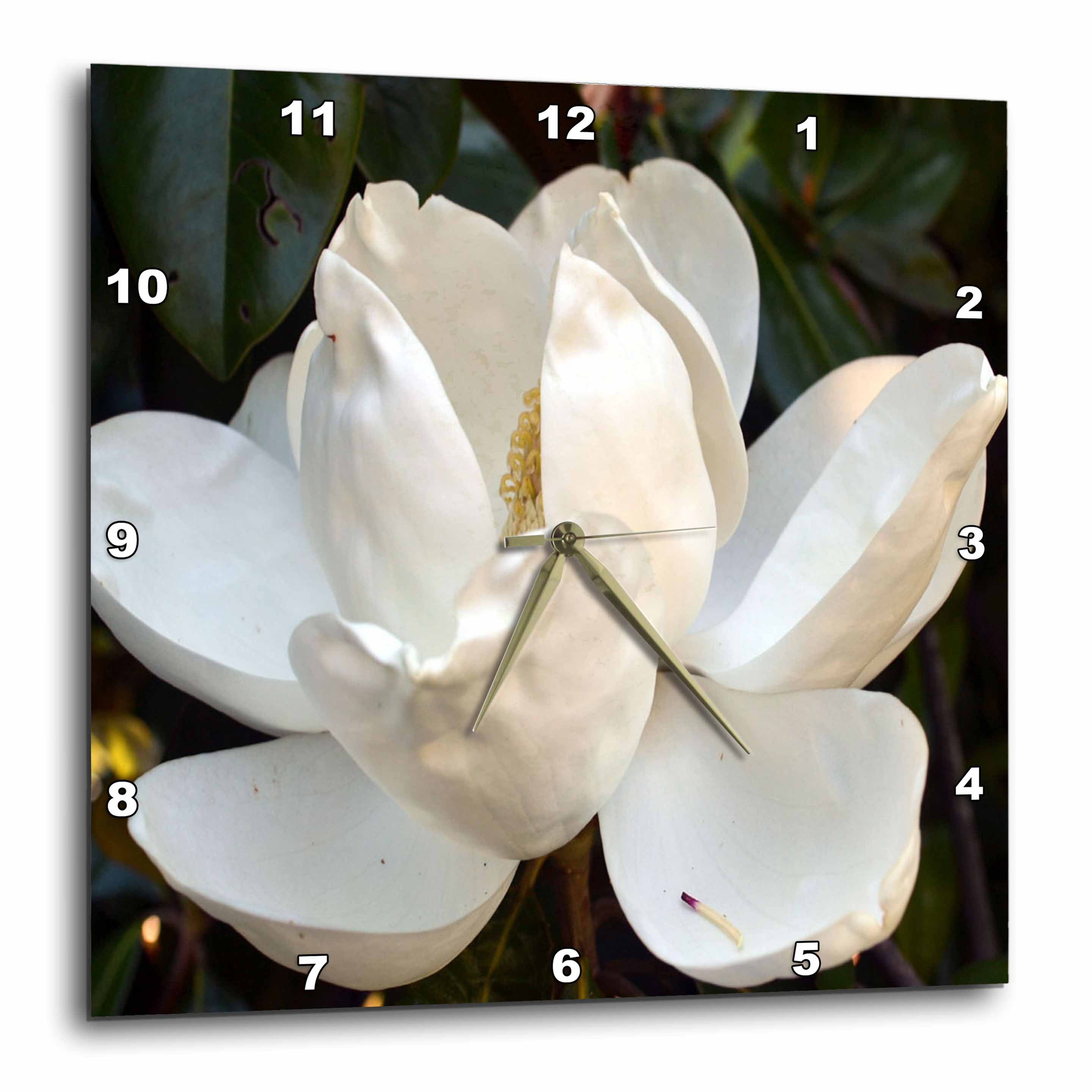 3dRose Magnolia White Flower Wall Clock, 10 by 10inch
