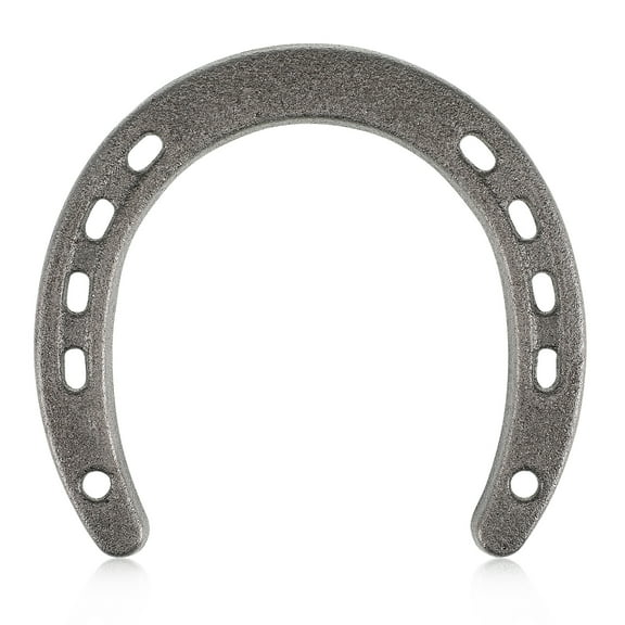 TOXMENT Cast Iron Horseshoe Wall Decor - 5 Holes Each Side - Good Luck Decoration