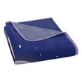 thumbnail image 5 of Bluey Over The Moon Kids Micro Raschel Throw Blanket, 5 of 5
