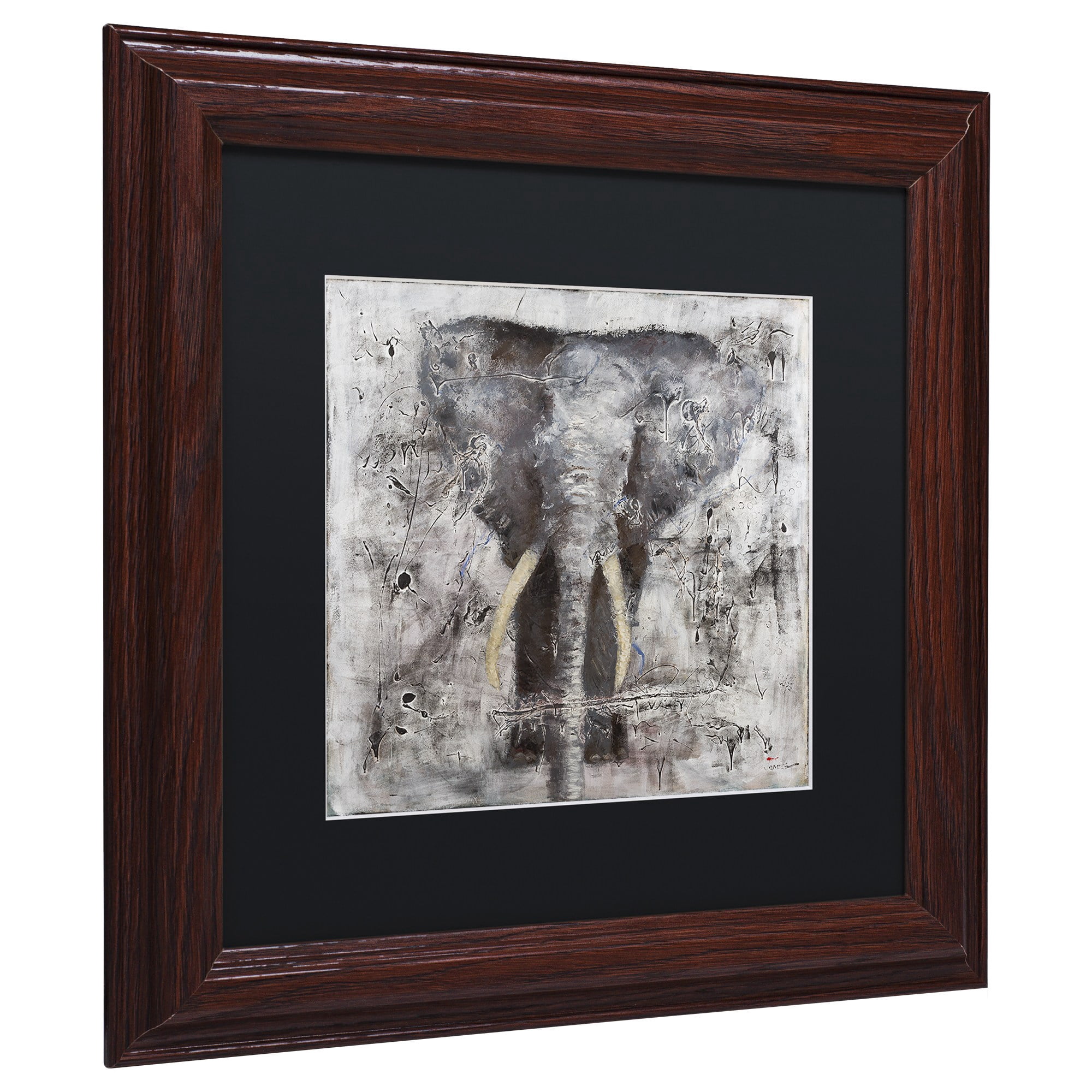 Trademark Fine Art "Wild Life" Canvas Art by Joarez, Black Matte, Wood Frame