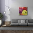thumbnail image 4 of Epic Graffiti 'Zinnia Gala I' by Carol Rowan, Giclee Canvas Wall Art, 37"x37", 4 of 8