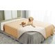 thumbnail image 1 of Funda impermeable reversible para cama de perro Ameritex, 1 of 8