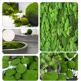 thumbnail image 6 of 30PCS  Artificial Moss Rocks Decorative, 3 Size Green Moss Balls,Moss Stones, Green Moss Covered Stones, Fake Moss Decor for Floral Arrangements, Fairy Gardens and Crafting, 6 of 7