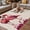 White Pink Beige, variant on Valentine's Day Outdoor Rug for Patio/Deck/Porch, Non-Slip Large Area Rug 5 x 7 Ft, Flamingos Roses Love Romance Ombre Pink Indoor Outdoor Rugs Washable Area Rugs, Camping Rug Carpet Runner