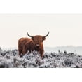 thumbnail image 2 of Van Den, Jaap 32x23 Black Ornate Wood Framed with Double Matting Museum Art Print Titled - Highlander, 2 of 4