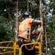 thumbnail image 1 of VEVOR Jaula de seguridad para montacargas, capacidad de carga de 1200 libras, plataforma de trabajo plegable para montacargas de 36 x 36 pulgadas con ruedas giratorias bloqueables, 1 of 9