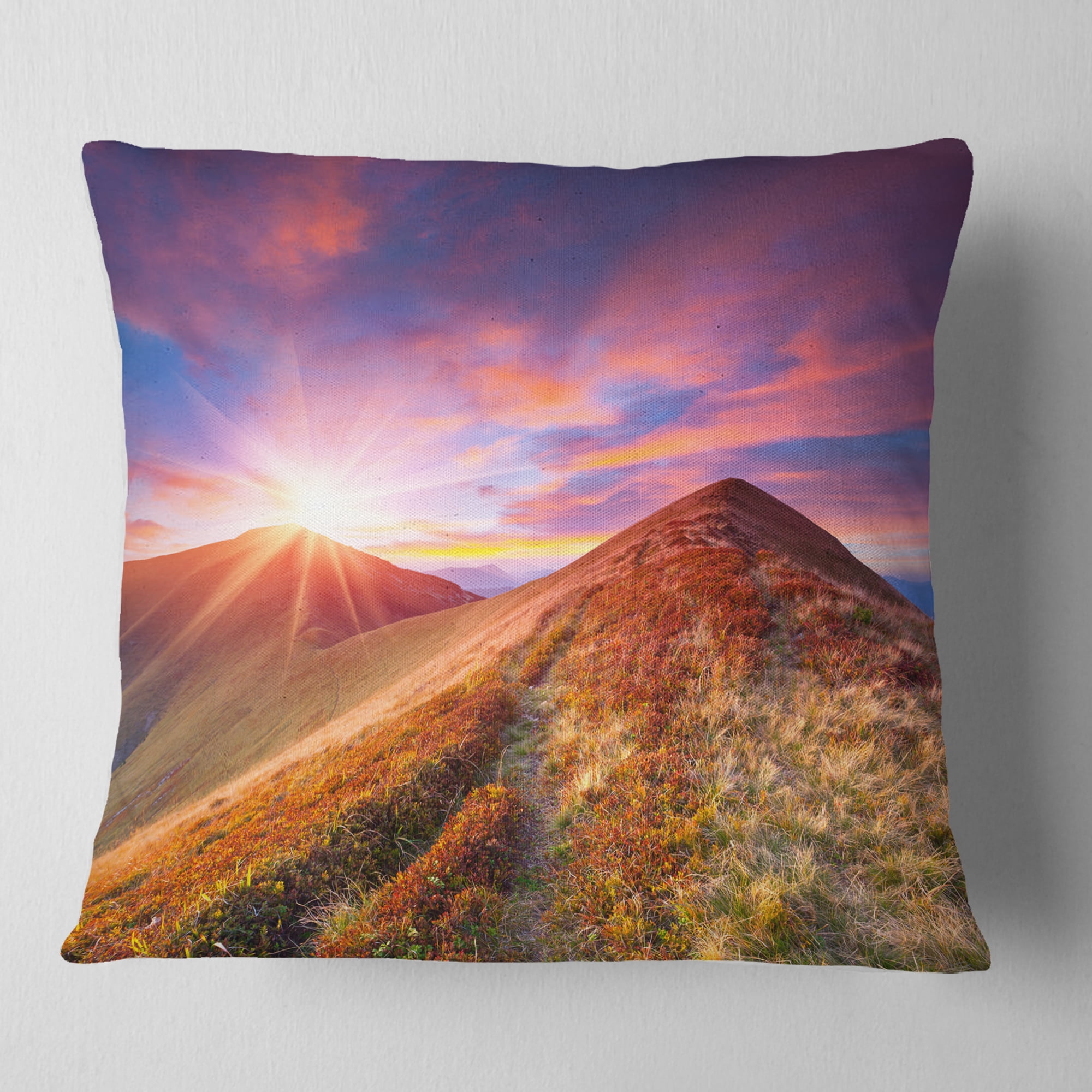 Designart Colorful Grass and Clouds - Landscape Photography Throw Pillow - 16x16