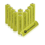 Geilienergy (12 Pack) NiCd AA 600mAh 1.2V Rechargeable Solar Light Batteries AA for Garden Lights Remotes Mice