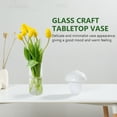 thumbnail image 3 of Transparent Glass Clear Planter Air Globes Vases Bulk Home Goods Decor Crystal Decorations for Floral Office, 3 of 6
