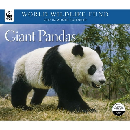 2019 Giant Pandas WWF Wall Calendar, by Calendar