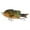 3#, variant on BE-TOOL Fishing Crankbait Lure Fishing Crankbait Fishing Bass Swimbaits for Bass Trout Musky Pike