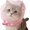 Pink, variant on Dog Mesh Net Breathable Adjustable No-Eat for Small Dogs & Cats Walks | Cute Star Design Hood Lightweight Dust Shield for Outdoor Social Gatherings Hot Weather Compatible with Small Pets