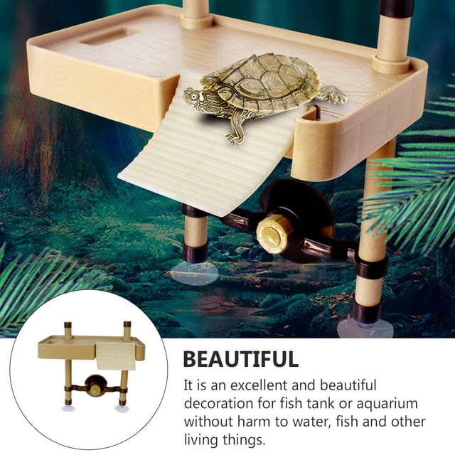 COMPUKAS 1Ud De Acuario Plato Con Para Reptiles Y Peces En Varios Colores