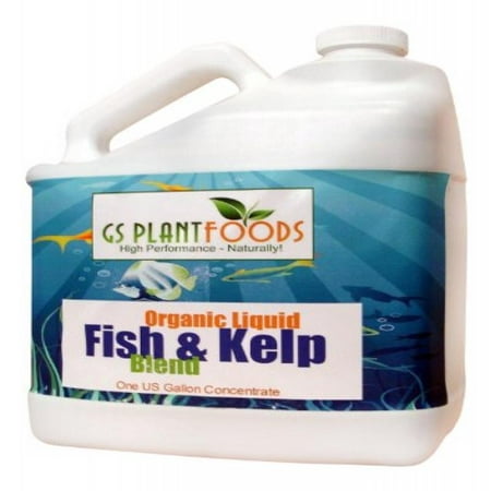 Fish & Kelp Liquid Blend Organic Natural Plant Fertilizer, Sea Kelp Plant Fertilizer Soil Nutrient Enzyme Based Supplement 1 Gallon of (Best Outdoor Marijuana Nutrients)
