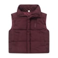 thumbnail image 2 of Boys Girls Puffer Vest Kids Sleeveless Lightweight Puffy Zip up Jacket, 2 of 9