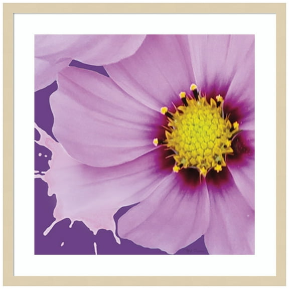 Amanti Art Flower Pop III Wood Framed Wall Art Print