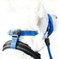 thumbnail image 2 of Bozales para la Boca del Perro Collar Antiladridos para Perros Herramienta de Entrenamiento para Perros Transpirable Juego de Bozales de Nailon con Tiras Reflectantes, M-Negro, 2 of 6