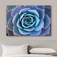 thumbnail image 3 of wall26 Canvas Print Wall Art Blue Purple Desert Echeveria Succulent Nature Floral Photography Realism Botanical Wilderness Zen Rustic Colorful Decorative for Living Room, Bedroom, Office - 16"x2, 3 of 5