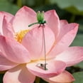 thumbnail image 4 of qolami 3Pcs Dragonfly Clip, Plastics Dragon Fly Garden Stakes Outdoor Fake Dragonflies Rod Clip for Hat, 3D Realistic Garden Stakes Decor for Patio Yard, 4 of 6