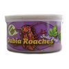 Josh's Frogs Canned Dubia Roaches (35g)
