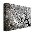 thumbnail image 3 of Trademark Art "Japanese Maple Spring Abstract II" Canvas Art by Kurt Shaffer, 3 of 3