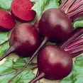 thumbnail image 3 of GSDWIUEW Beetroot Seeds for Planting, Heirloom , 30 Seeds, 3 of 4