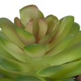 thumbnail image 4 of Kibo Mini Faux Succulent Black Pot, 4 of 4