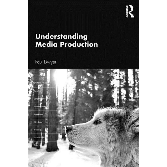 Understanding Media Production, (Paperback)