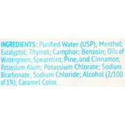 Alkalol Original Nasal Wash, 3x16 fl oz