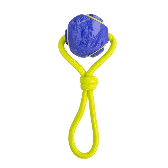 Outward Hound FlyFetch Ball Tug Dog Toy, Purple/Yellow