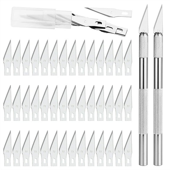 Precision Cutting Tool Set, Craft Knife Set Includes Assortment of Light Duty to Heavy Duty Handles 2 scalpel, with 42 blades